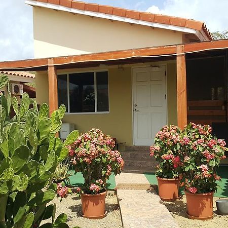 Bubali Studio Palm Beach Zewnętrze zdjęcie